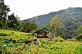 437_Sri_Lanka