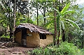438_Sri_Lanka