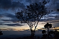443_Sri_Lanka