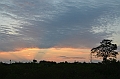 472_Sri_Lanka_Udawalawe_NP
