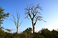 481_Sri_Lanka_Udawalawe_NP