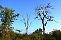 482_Sri_Lanka_Udawalawe_NP