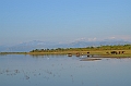 486_Sri_Lanka_Udawalawe_NP