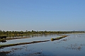 487_Sri_Lanka_Udawalawe_NP