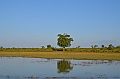 491_Sri_Lanka_Udawalawe_NP