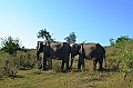 496_Sri_Lanka_Udawalawe_NP