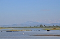 501_Sri_Lanka_Udawalawe_NP