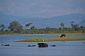 502_Sri_Lanka_Udawalawe_NP