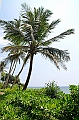 527_Sri_Lanka_Mount_Lavinia