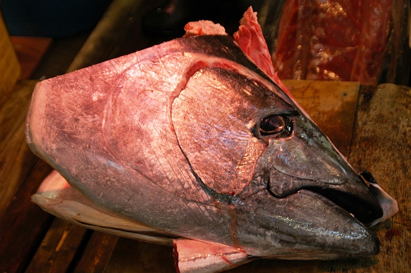 111_Tokyo_Fishmarket.JPG