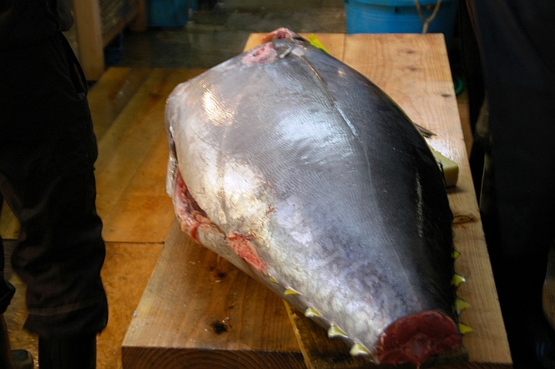 113_Tokyo_Fishmarket.JPG