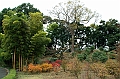 044_Tokyo_Imperial_Palace_Gardens