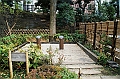 066_Tokyo_Smoking_Place