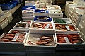 107_Tokyo_Fishmarket