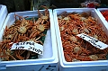 118_Tokyo_Fishmarket