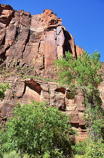 039_USA_Zion_National_Park.JPG