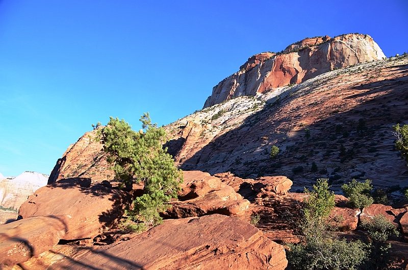 065_USA_Zion_National_Park.JPG
