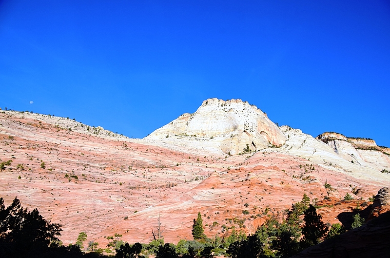 072_USA_Zion_National_Park.JPG