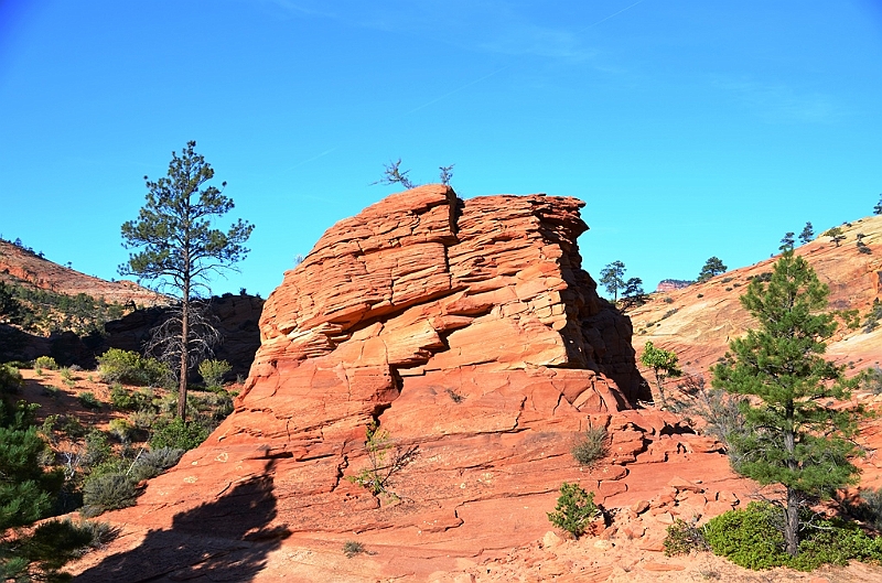 077_USA_Zion_National_Park.JPG