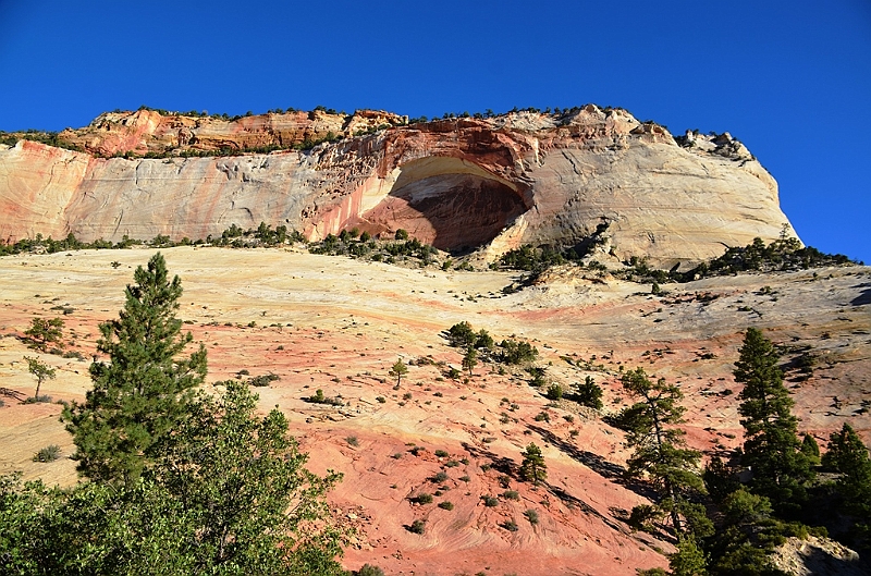 078_USA_Zion_National_Park.JPG