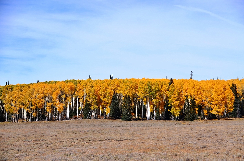 184_USA_Utah.JPG