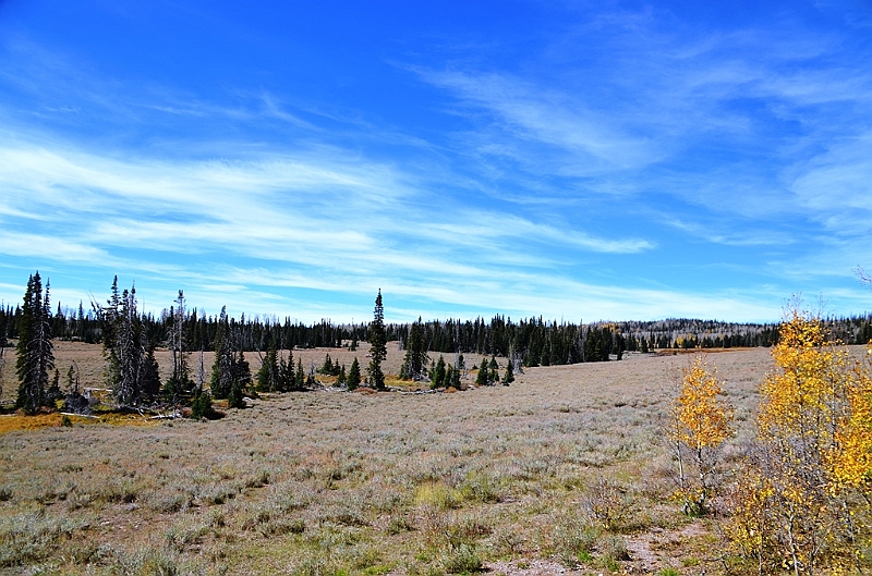 187_USA_Utah.JPG