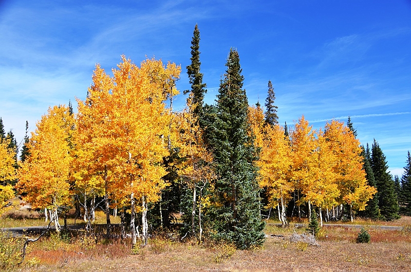 189_USA_Utah_Cedar_Breaks_National_Monument.JPG