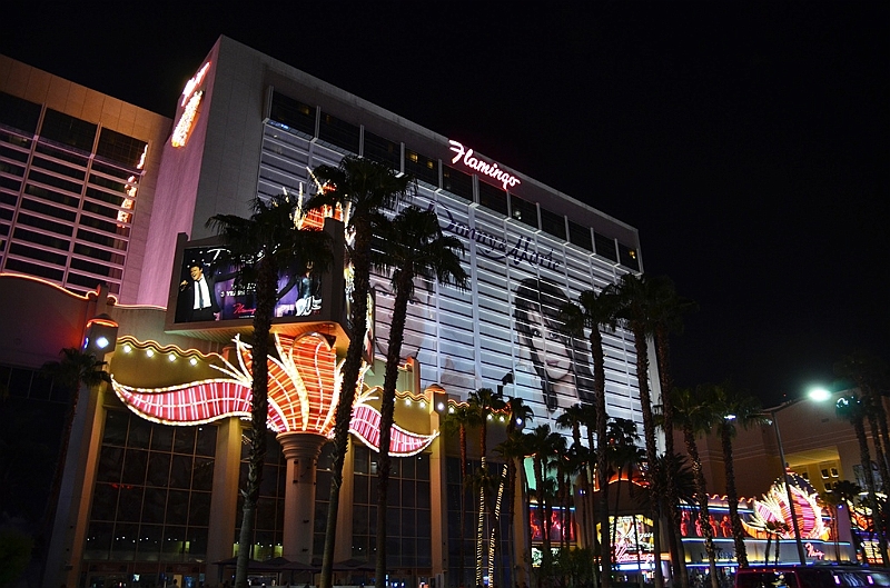 313_USA_Las_Vegas.JPG