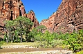 037_USA_Zion_National_Park