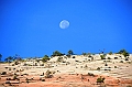073_USA_Zion_National_Park