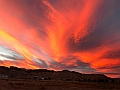 151_USA_Utah_Tropic