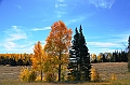 183_USA_Utah