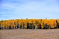 184_USA_Utah