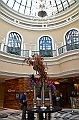 340_USA_Las_Vegas_Bellagio