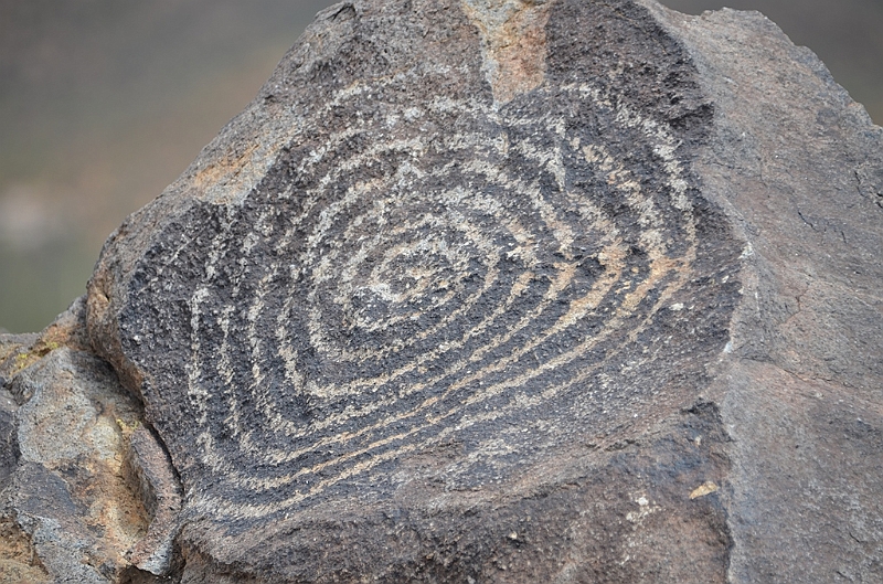 048_USA_Saguaro_National_Park.JPG