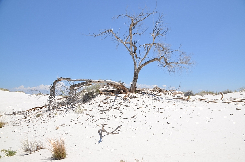103_USA_White_Sands_National_Monument.JPG