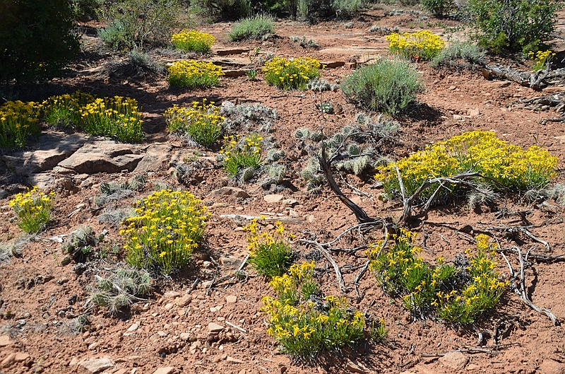 132_USA_Canyon_de_Chelly_National_Monument.JPG