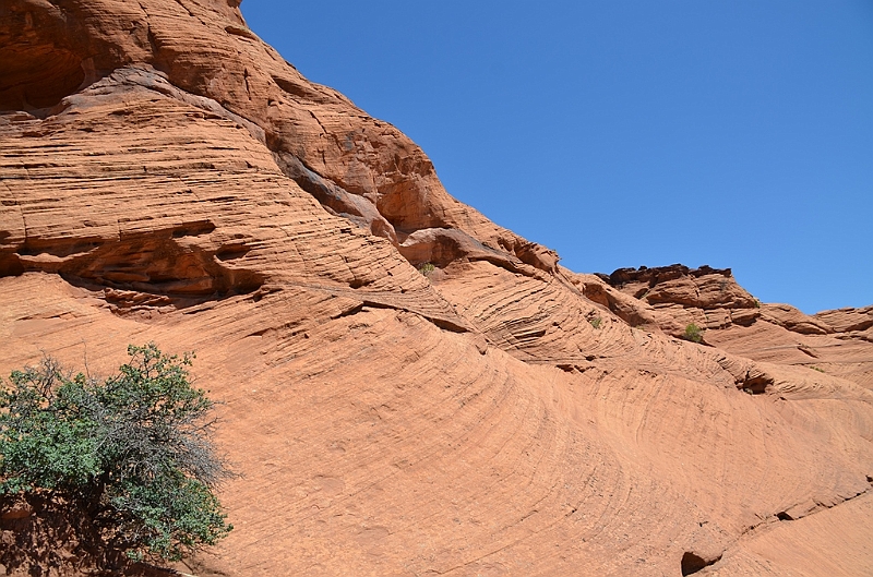 152_USA_Canyon_de_Chelly_National_Monument.JPG
