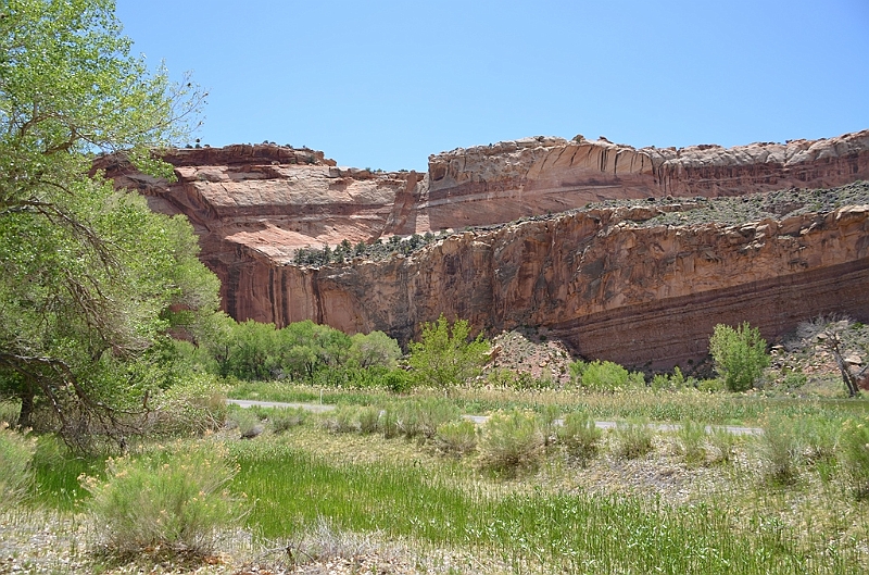 272_USA_Capital_Reef_National_Park.JPG