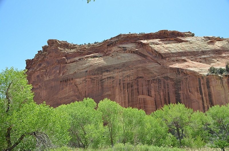 274_USA_Capital_Reef_National_Park.JPG
