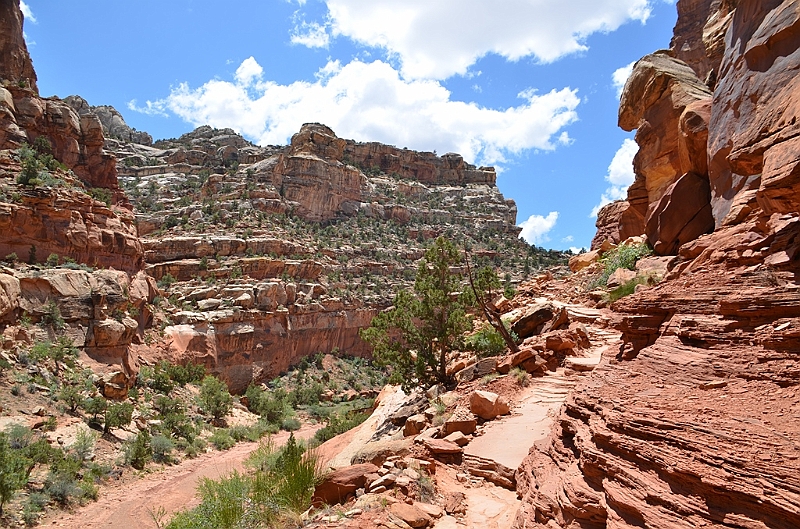 284_USA_Capital_Reef_National_Park.JPG