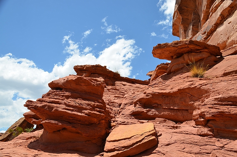 285_USA_Capital_Reef_National_Park.JPG
