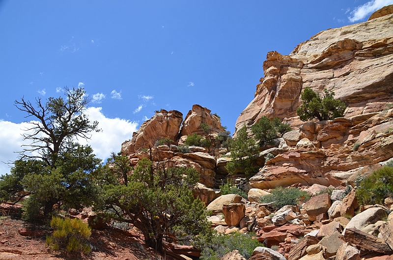 289_USA_Capital_Reef_National_Park.JPG
