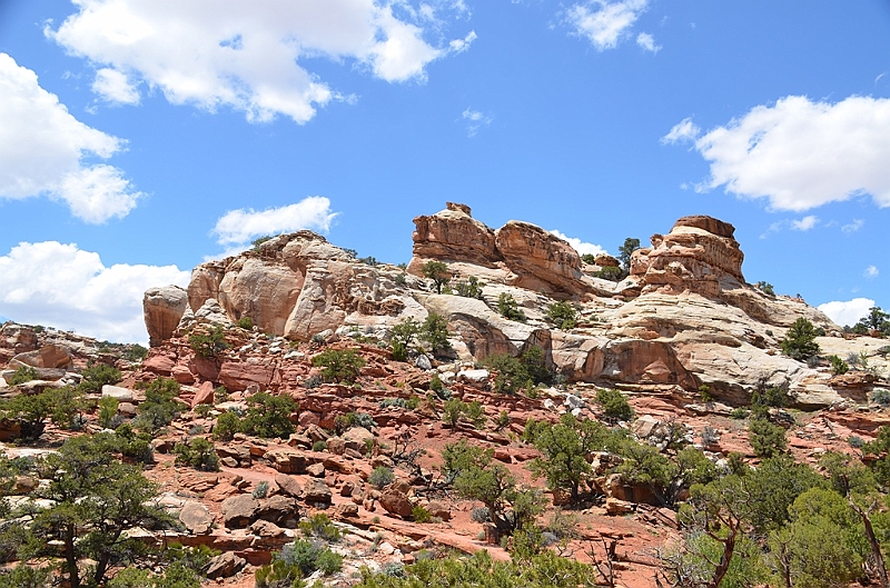 295_USA_Capital_Reef_National_Park.JPG