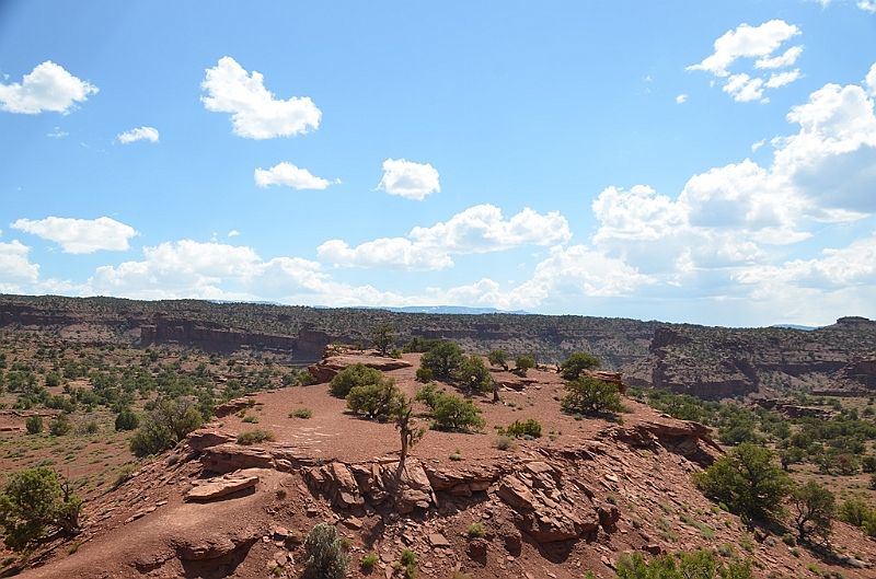 315_USA_Capital_Reef_National_Park.JPG