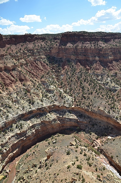 318_USA_Capital_Reef_National_Park.JPG