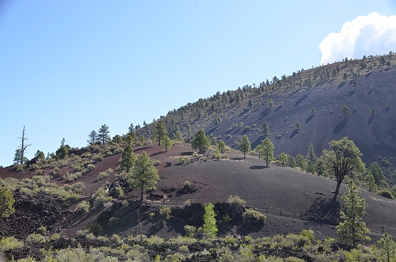 593_USA_Sunset_Crater_National_Monument.JPG
