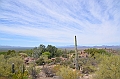 003_USA_Arizona_Sonora_Desert_Museum