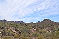 011_USA_Arizona_Sonora_Desert_Museum