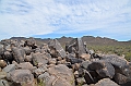 047_USA_Saguaro_National_Park